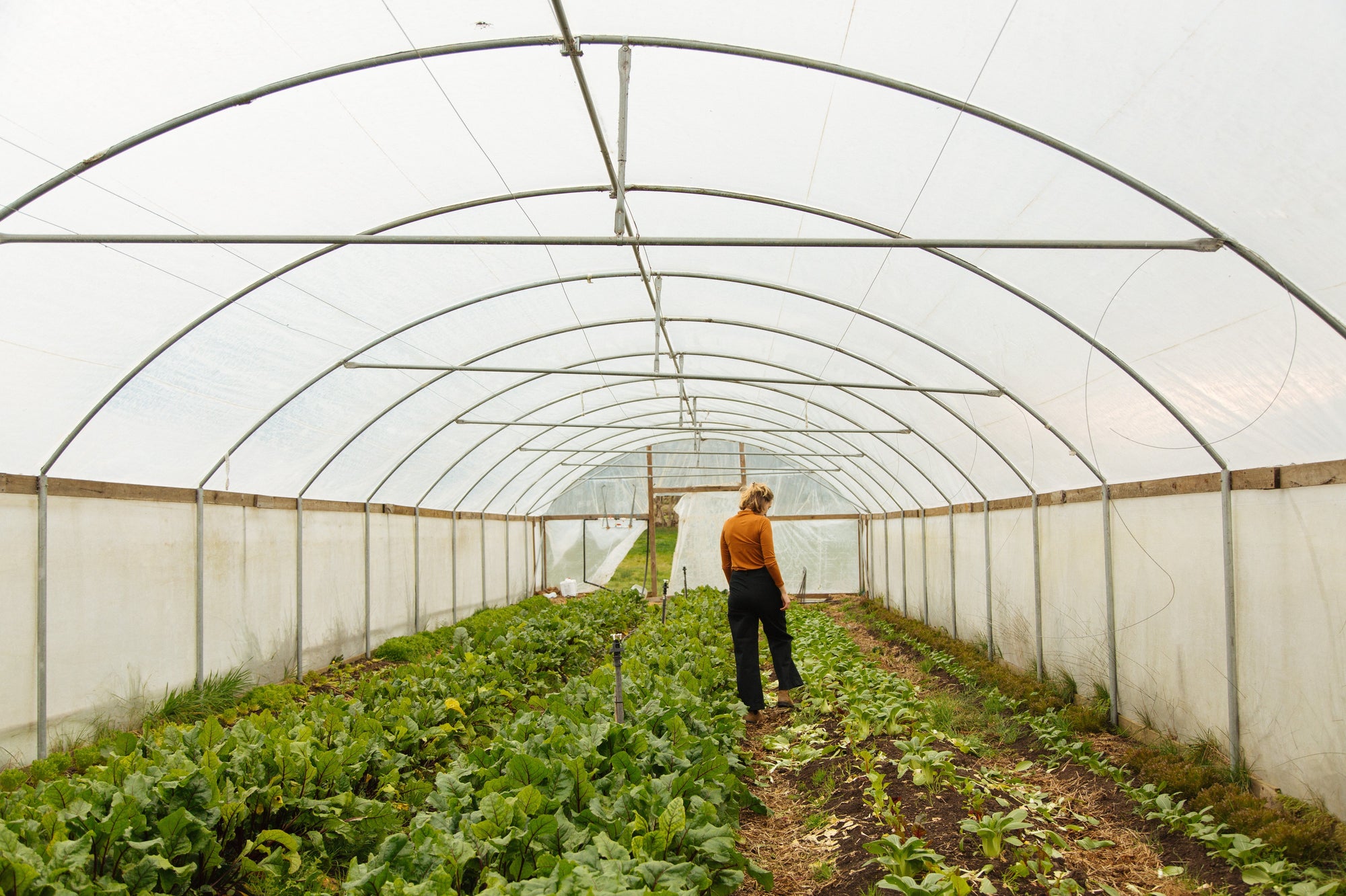 Bridie, Kinsfolk Farm